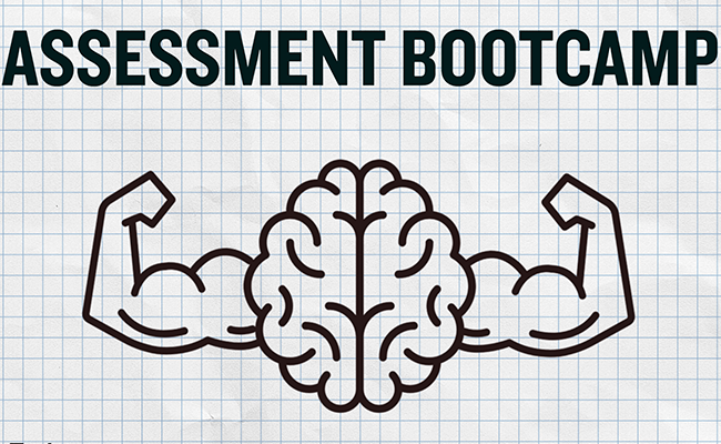Assessment_WordPress Article (650 x 400)