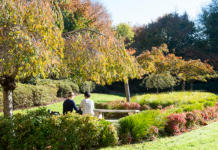 Managing your wellbeing when the world feels heavy Two students sitting in the International gardens