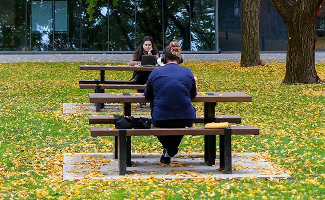 Mid-semester reset: How to bounce back if you’re behind 