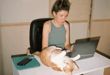 A woman studying on her laptop at a desk with a cat next to her on the table