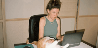 A woman studying on her laptop at a desk with a cat next to her on the table