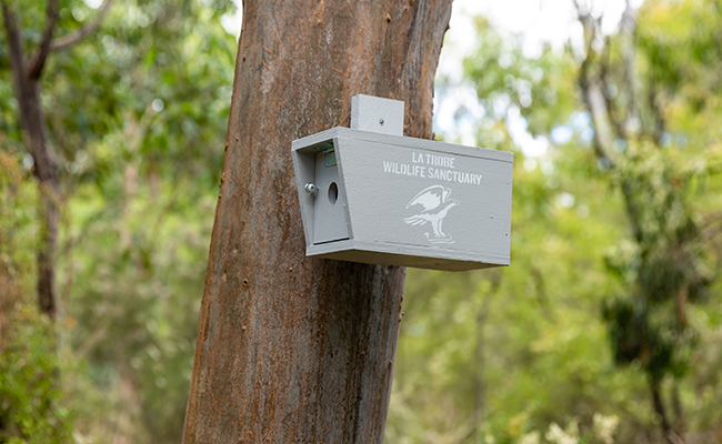 Possum box