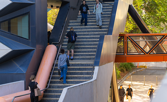 Students walking up stairs