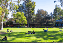 Students sitting on Simpson's Lawn at the Bundoora campus