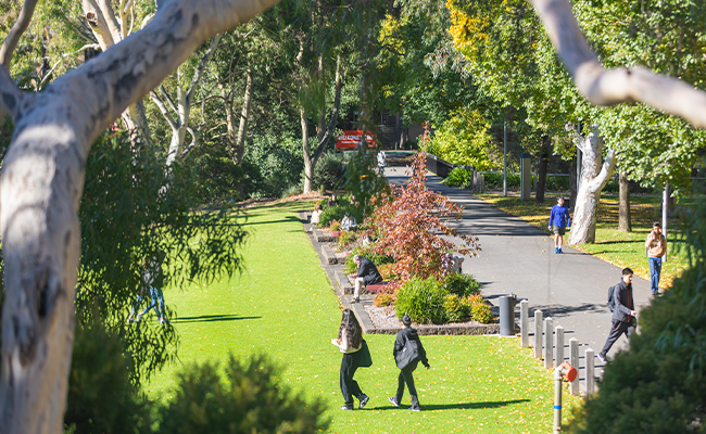 Your gender identity options in StudentOnLine have changed