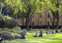 Students sitting on Simpsons Lawn