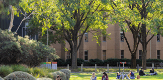 Students sitting on Simpsons Lawn