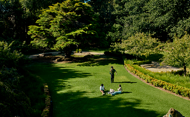 The invisible curriculum: what university really teaches you 