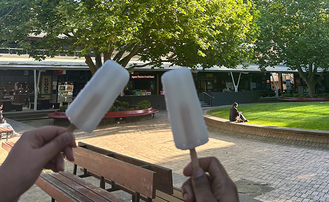 Two people holding up icypoles