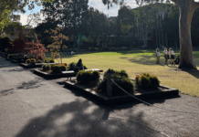 Walking around campus