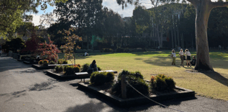 Walking around campus