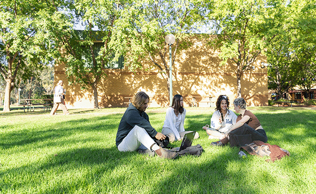 Wellbeing Services – We’re here for you over summer!