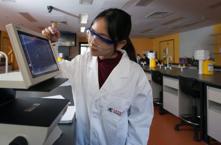 Health & Safety portal