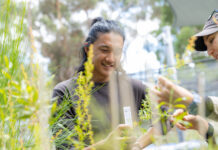A person working with plants in a nursery