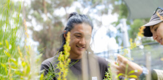 A person working with plants in a nursery