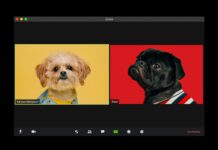 Zoom recordings: Important changes to cloud storage