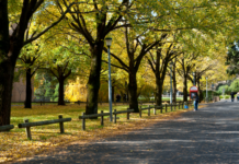 Help name the paths we use every day