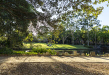 Image of trees and the waterway at Bundoora campus