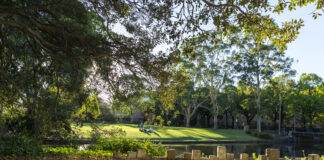 Image of trees and the waterway at Bundoora campus