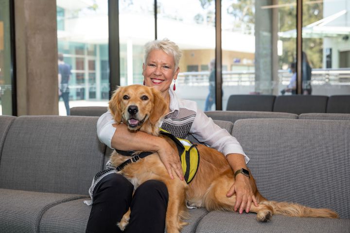 One for the dogs and cats: bequest secures La Trobe's future research into  companion animal benefits, News, La Trobe University