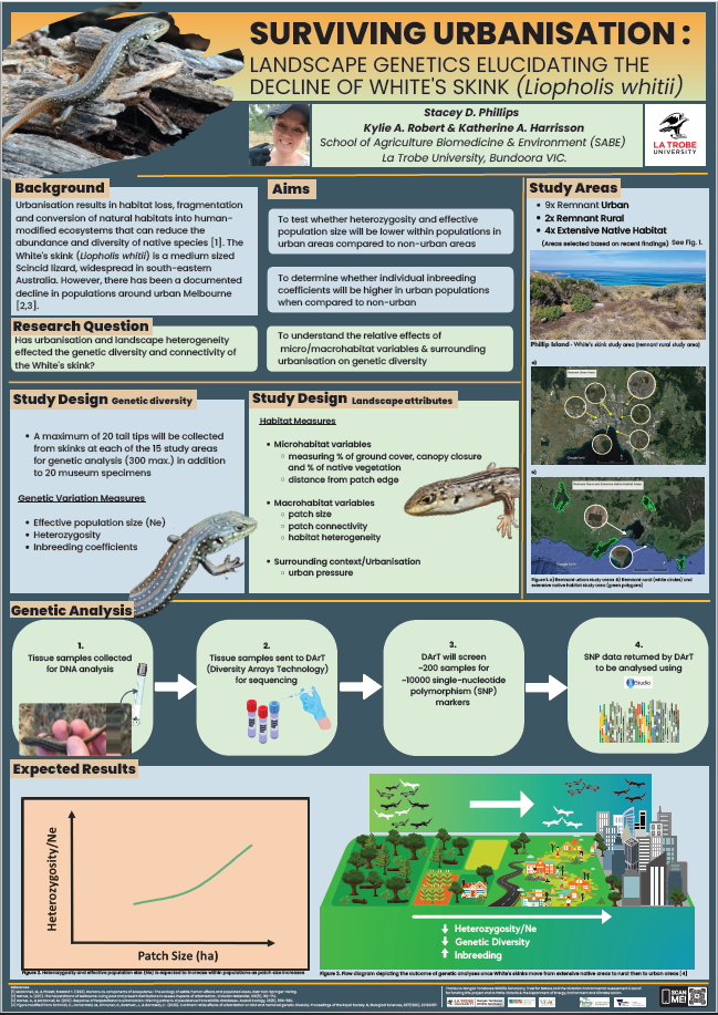 Stacey Phillips White's Skink Honours Poster