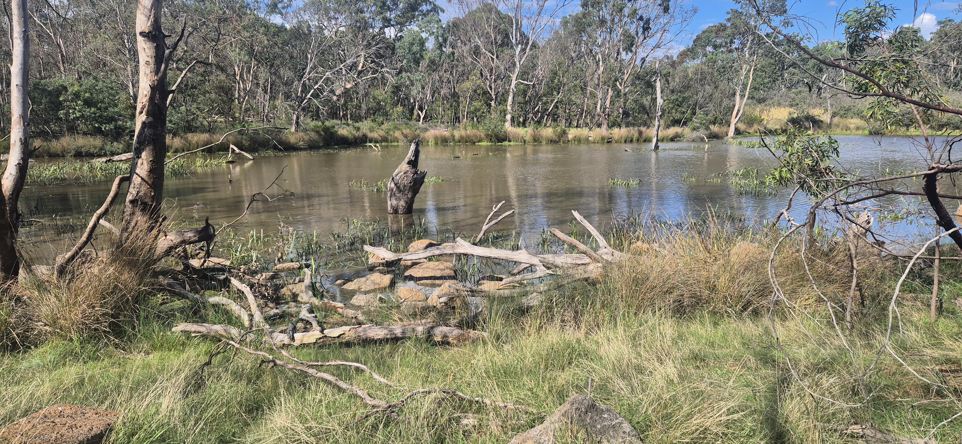 Brindley Backwater rock beaches