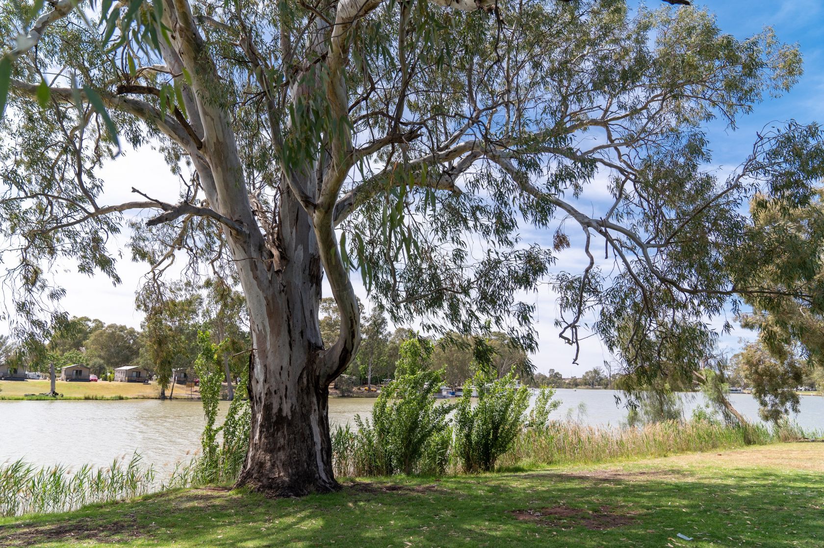 History of the Mildura region, News, La Trobe University