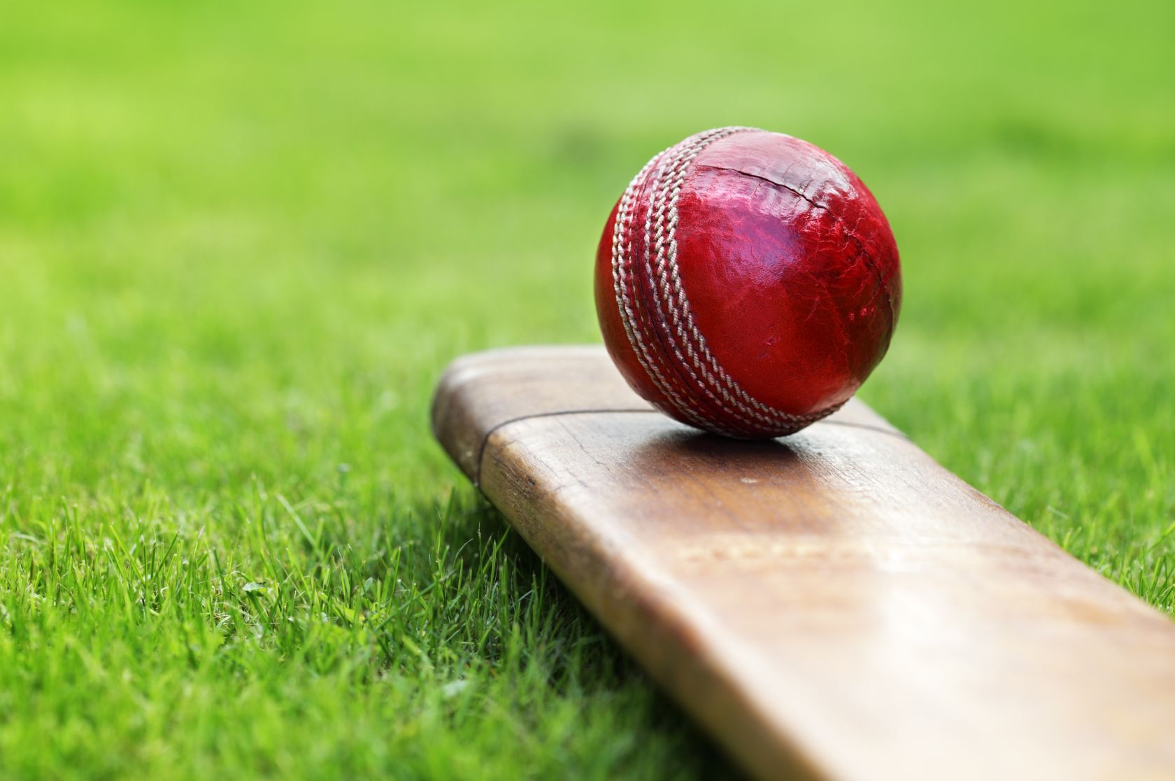 Cricket deaths detailed in new research, News, La Trobe University