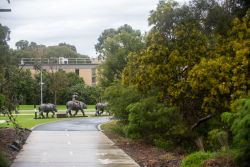 walking path on a university campus with steel statues of animals