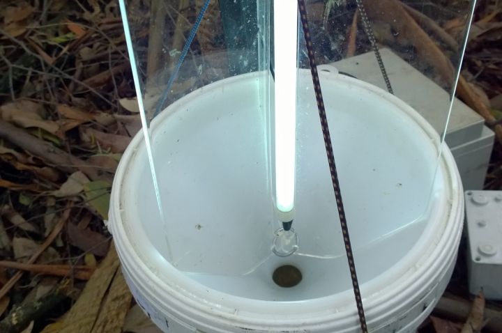 A fluorescent light held above a trap, held up by Plexiglas