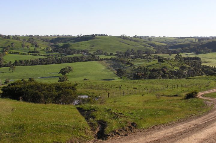 Re-plantings in agricultural landscape in Glenelg Hopkins catchment. Photo credit: Alistair Stewart 