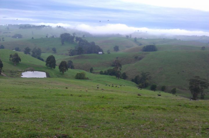 Rolling hills featuring livestock and scattered structures, covered in a receding mist