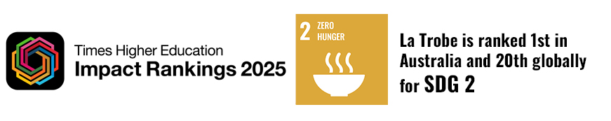 Time Higher Education Impact Rankings 2025 logo 
