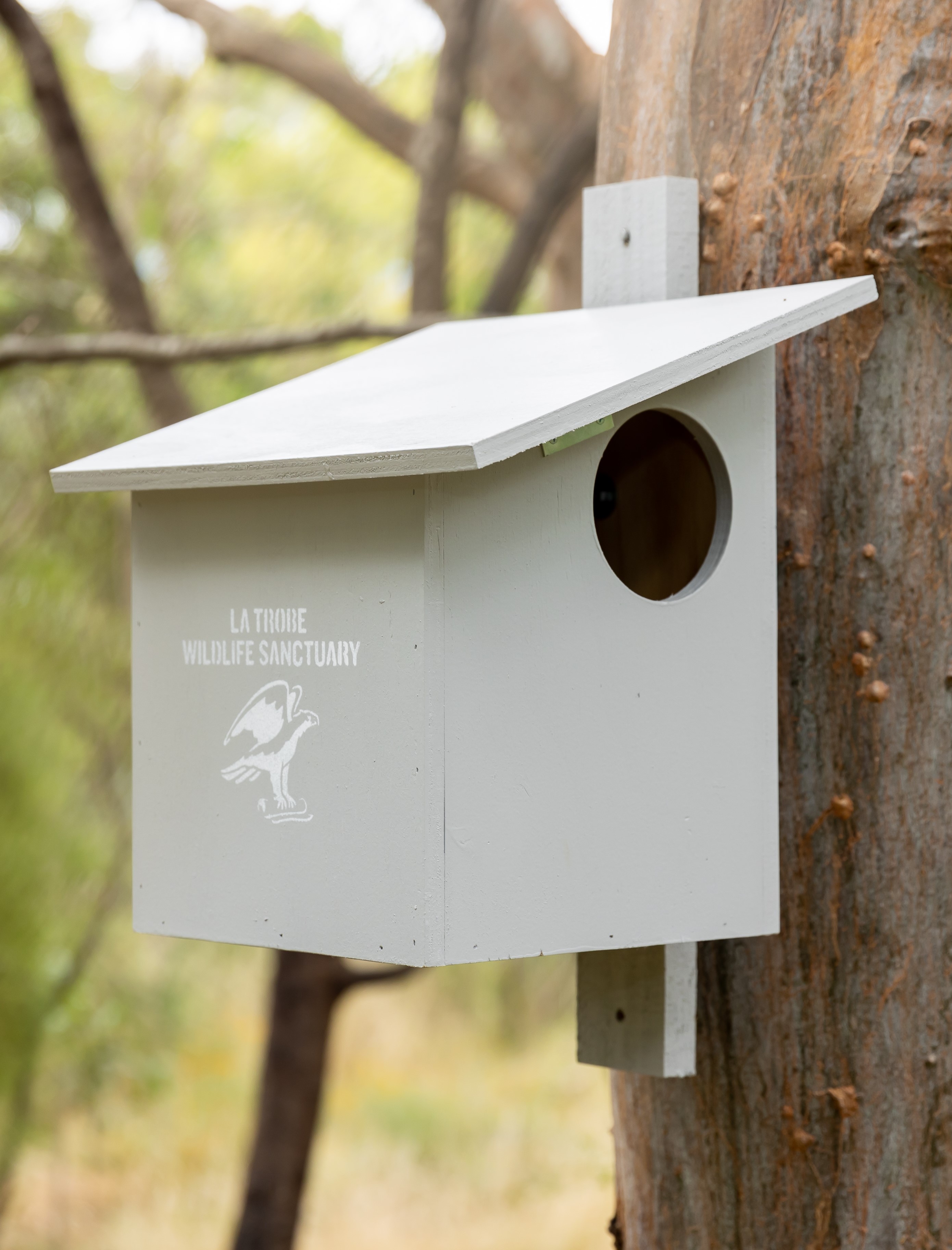 Brushtail possum nest box