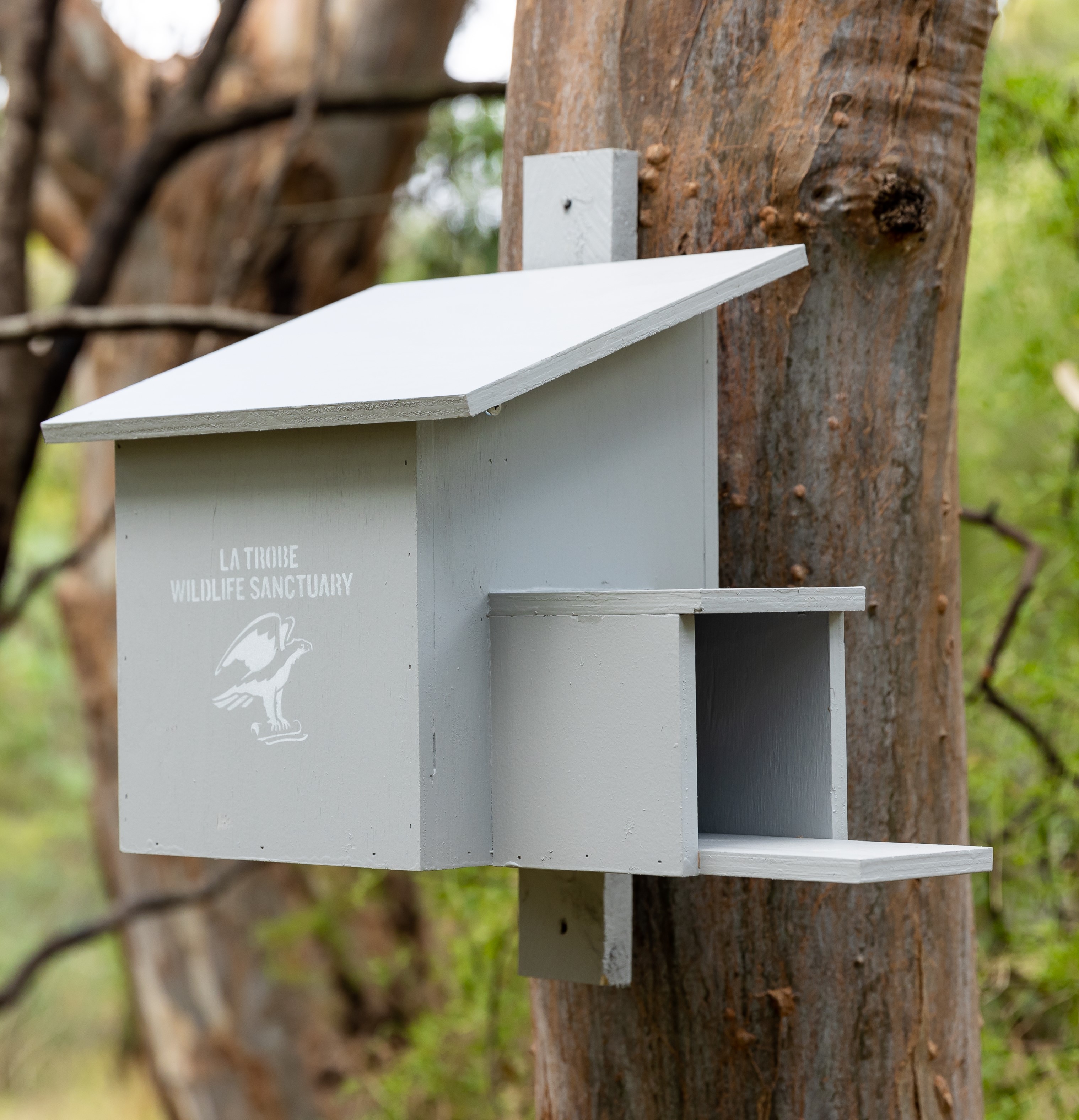 Kookaburra nest box