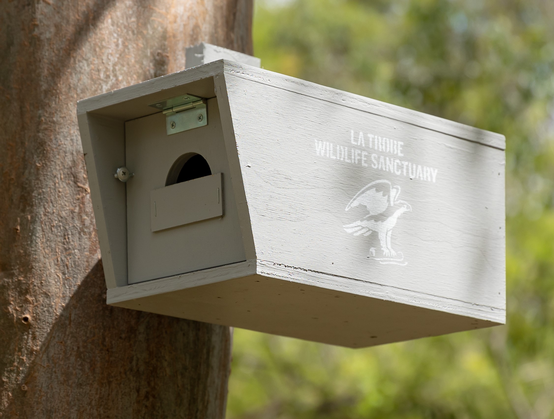 Lorikeet nest box