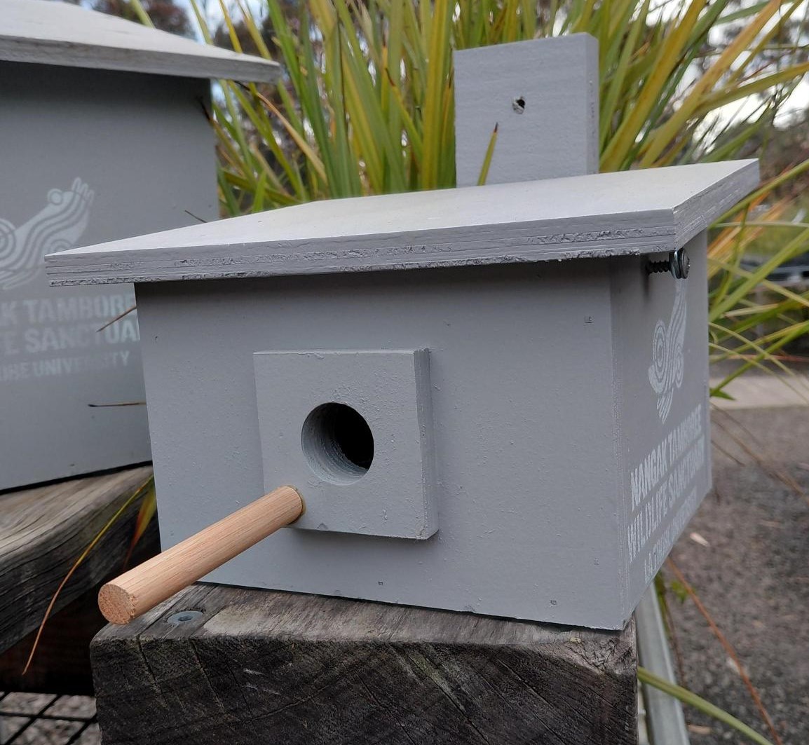 Pardalote nest box