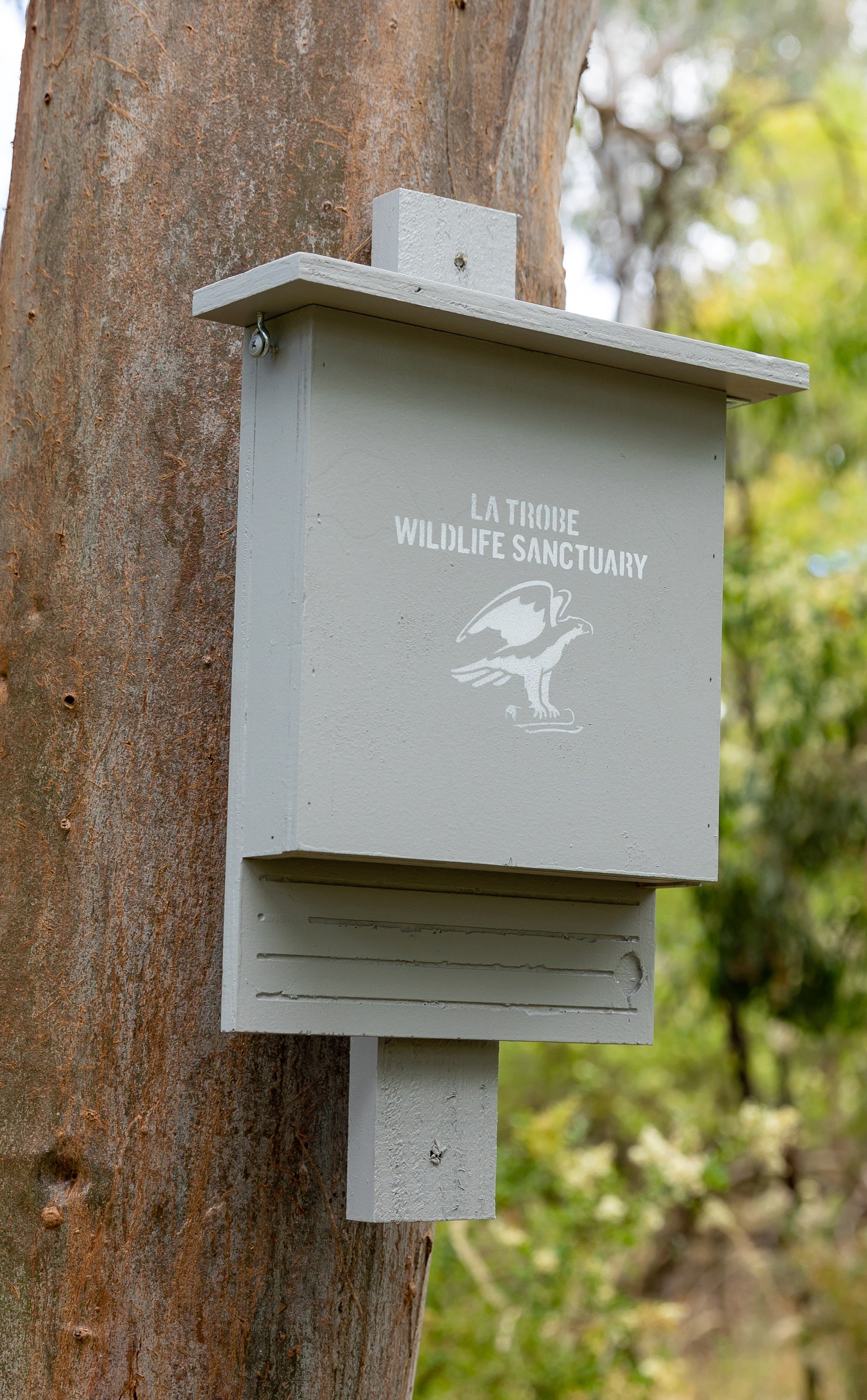 Microbat nest box