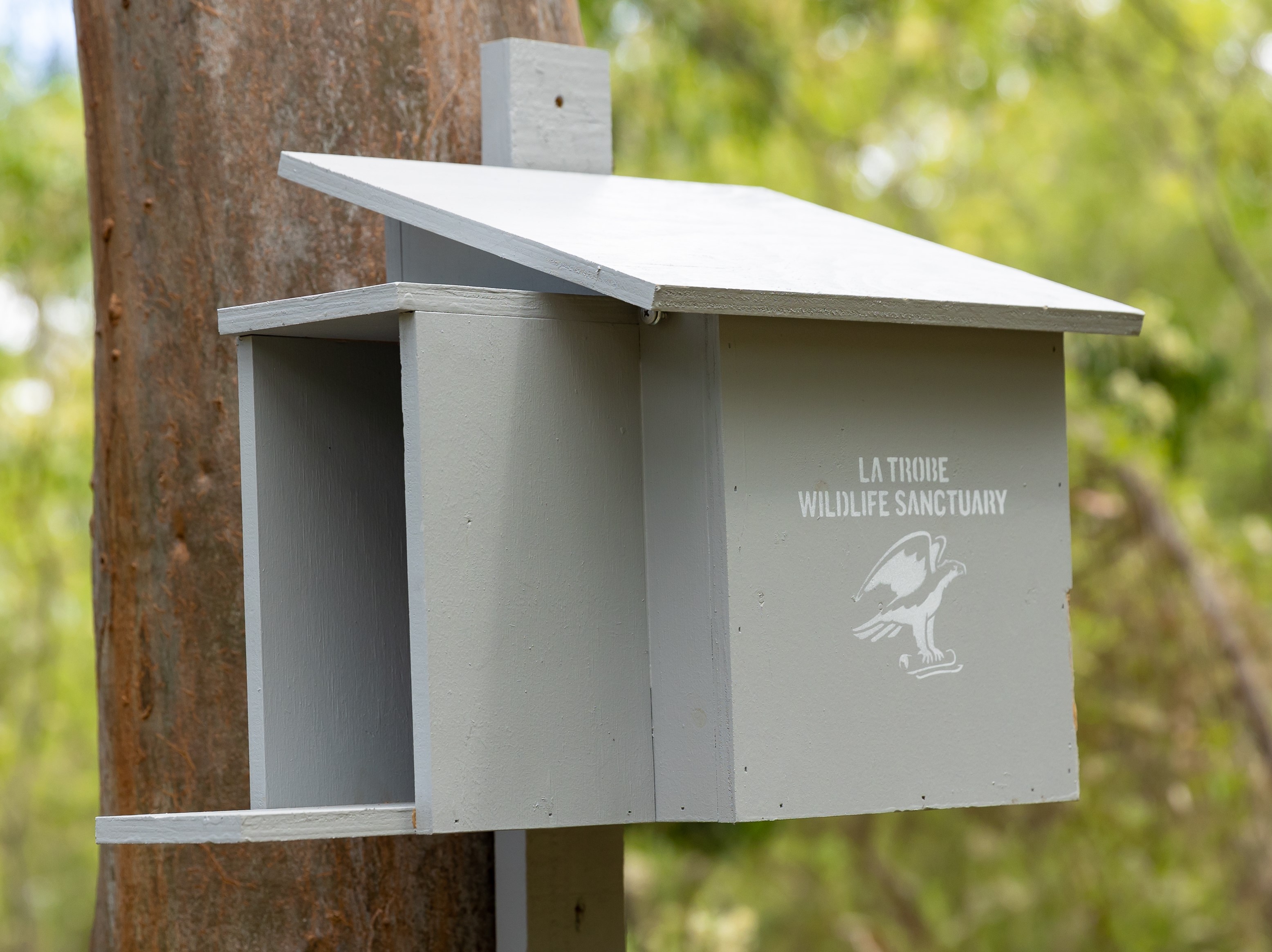 Owl nest box