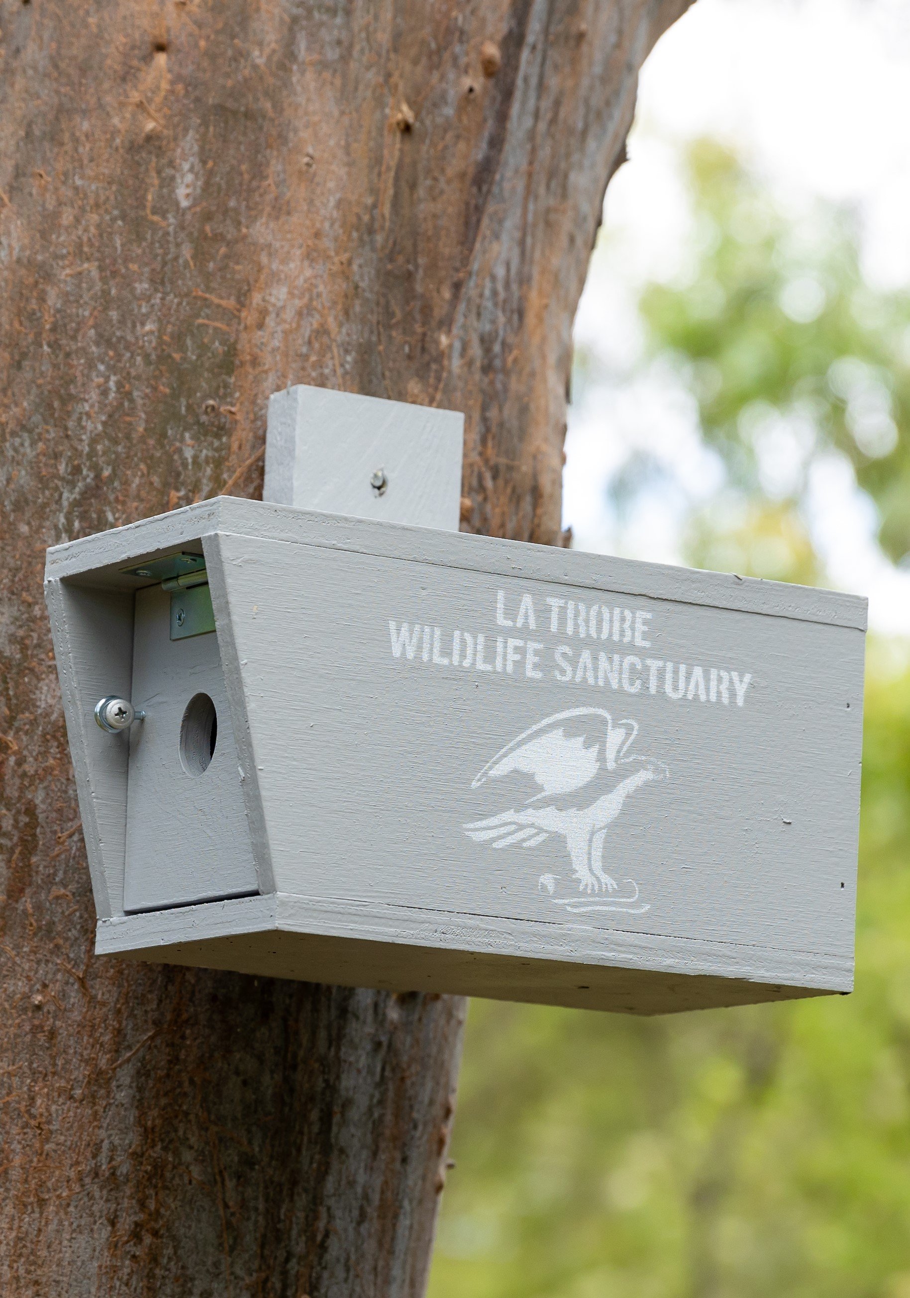 Pardalote nest box