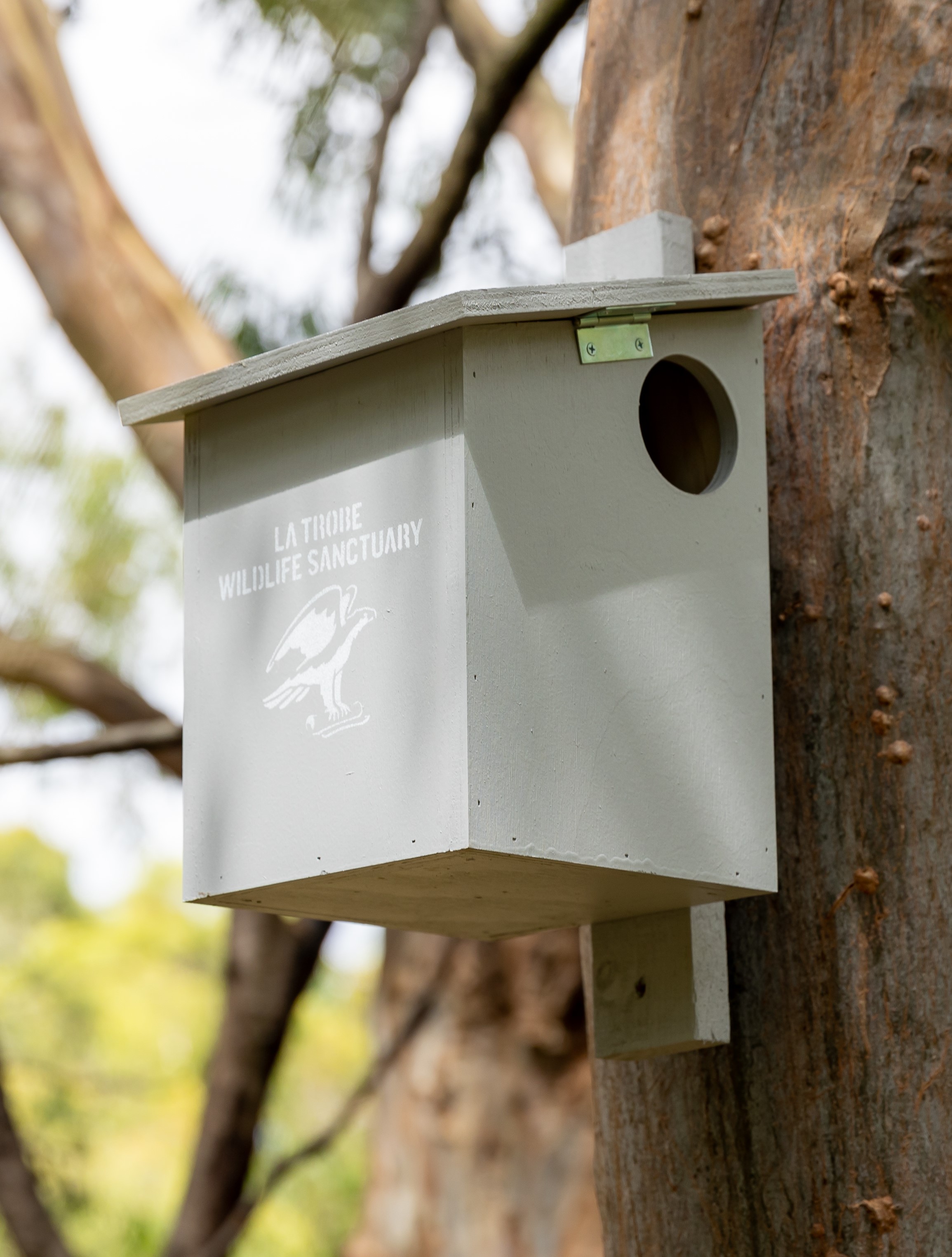 RIngtail Possum nest box