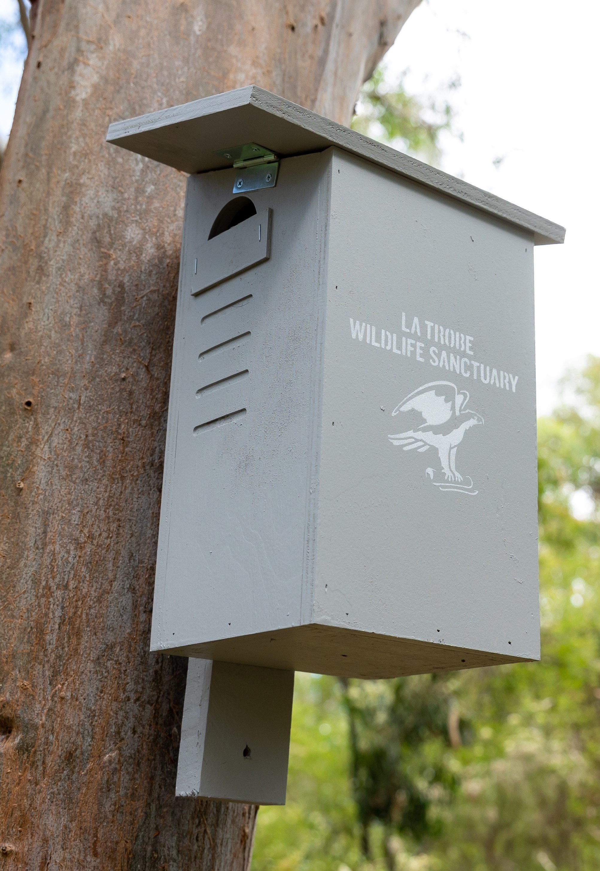 Rosella nest box