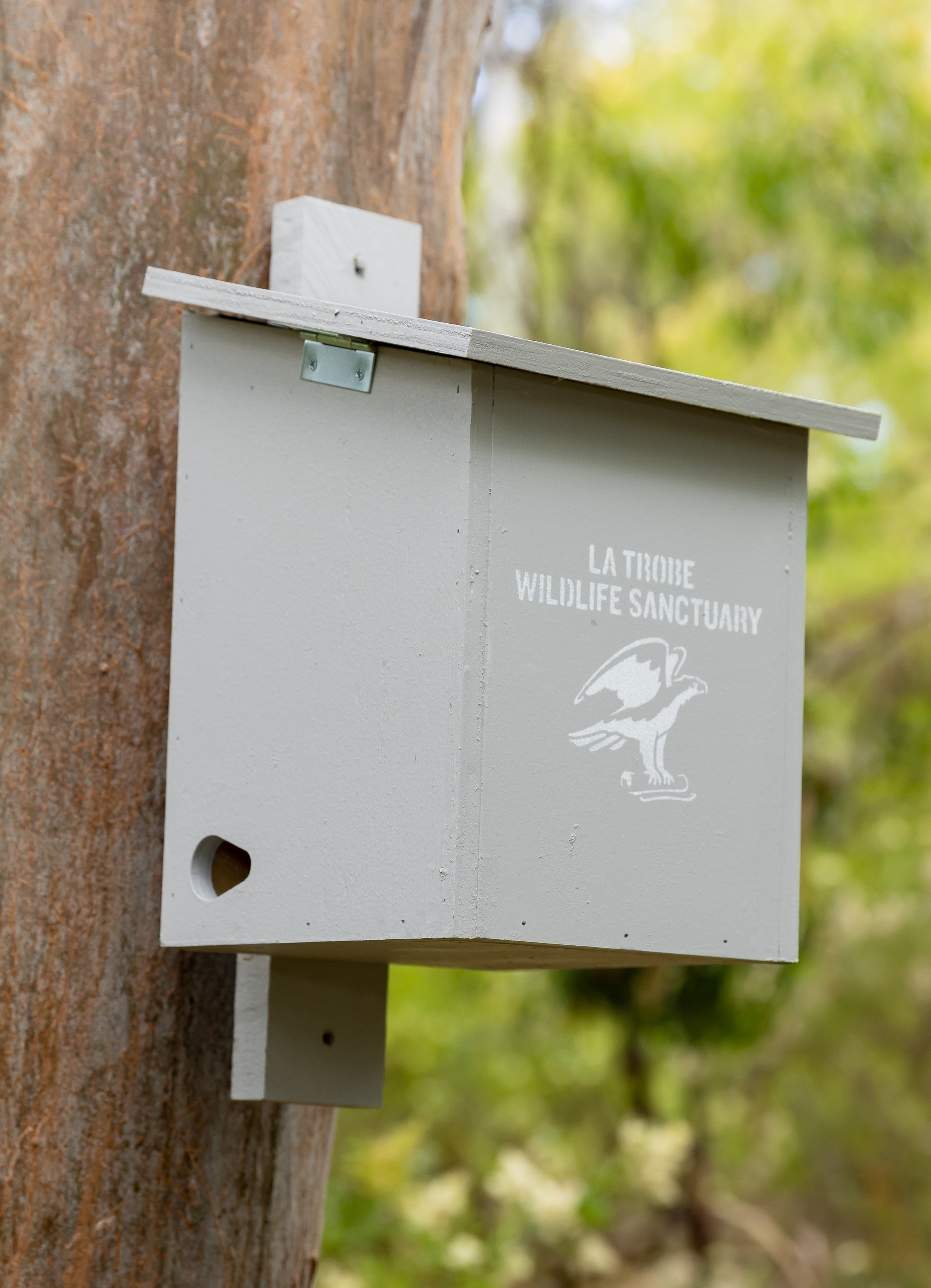 Small glider nest box